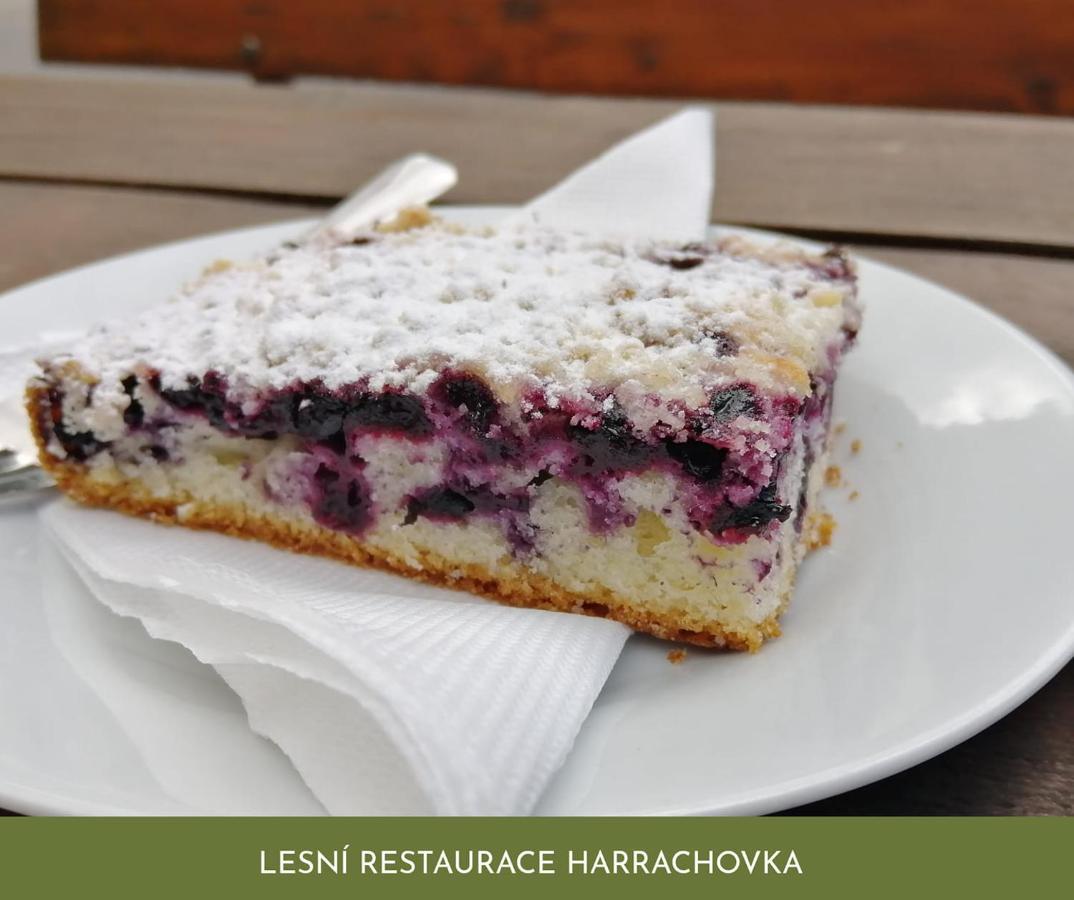 מלון טאבור Lesni Restaurace Harrachovka מראה חיצוני תמונה
